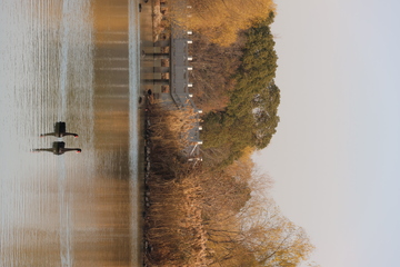 秋日湖畔道路景观航拍
