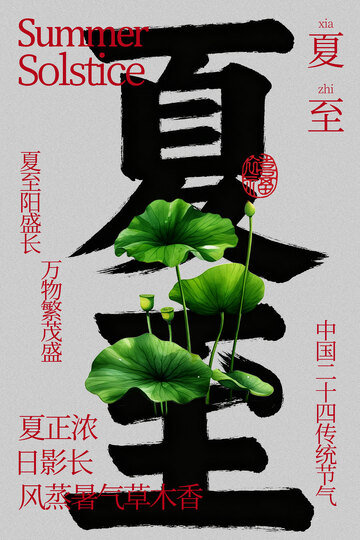 夏至节气荷韵悠长海报