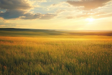 日落黄昏大草原美景