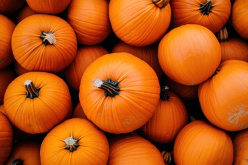 一堆南瓜特写摄影