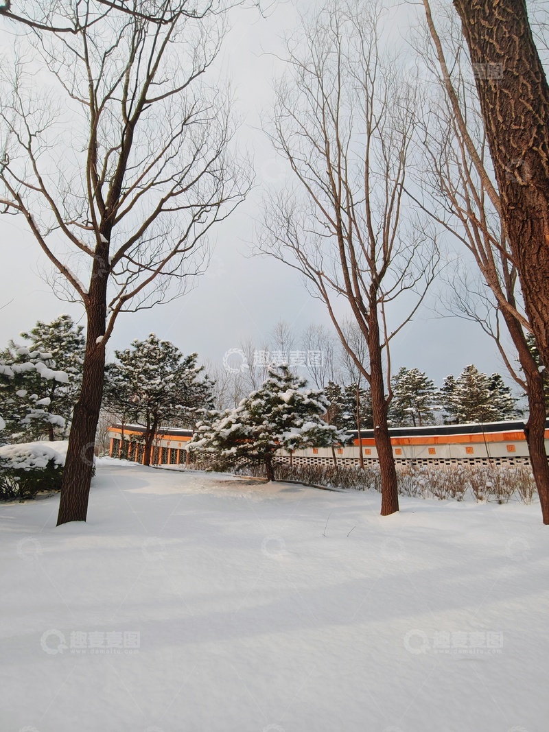 高清大图下载【趣麦麦图】冬日雪景树木小路