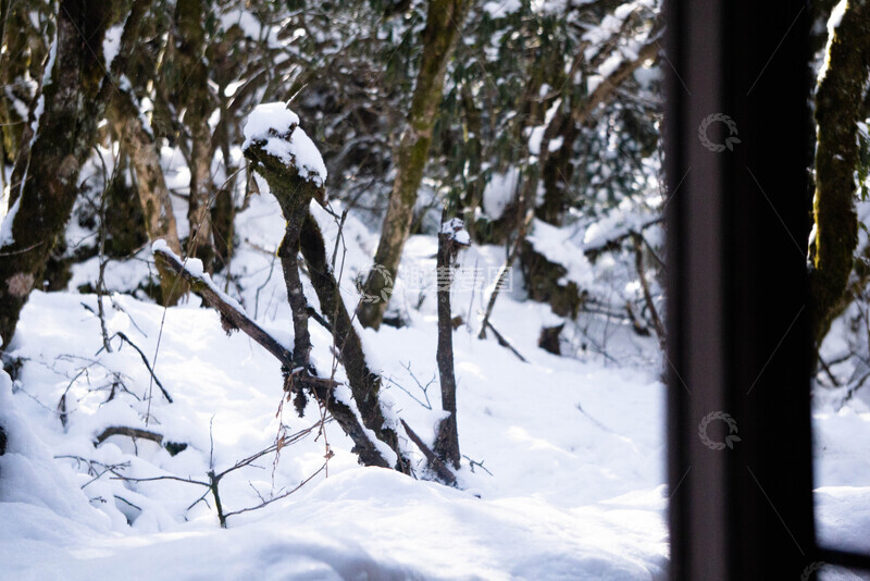 高清大图下载【趣麦麦图】-冬日森林枯枝雪景