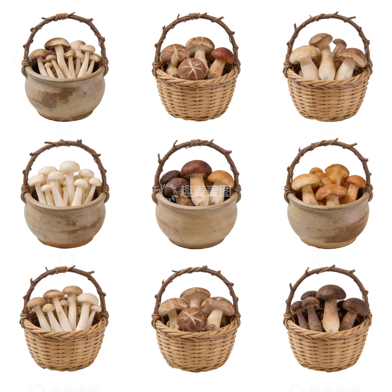 源文件下载【趣麦麦图】一筐新鲜菌菇9