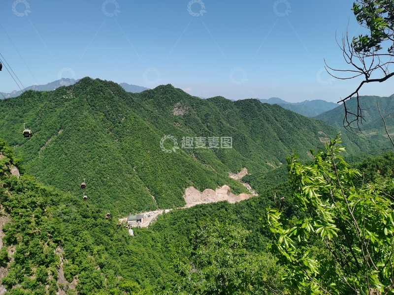 高清大图下载【趣麦麦图】-高山森林植被