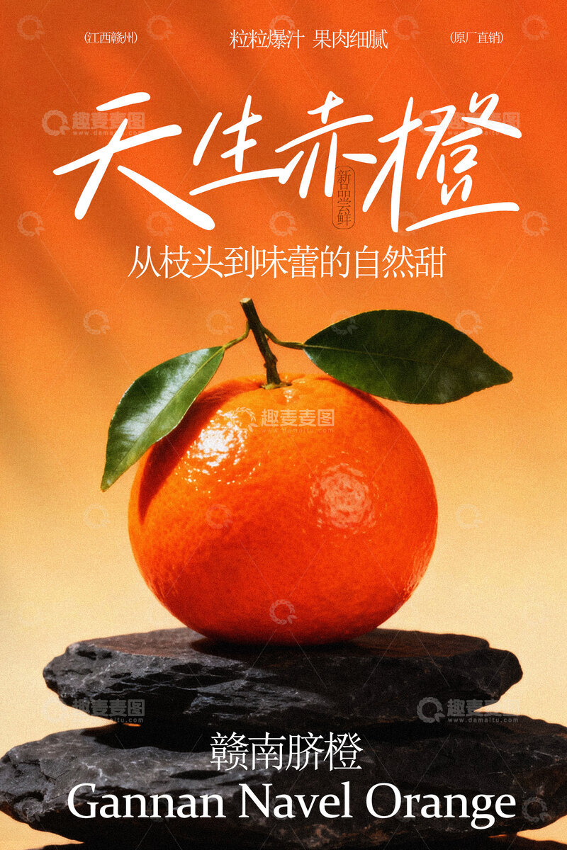 源文件下载【趣麦麦图】天生赤橙柑橘水果海报