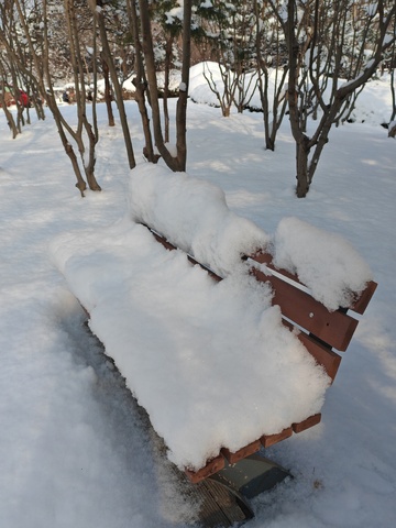 冬日雪景长凳摄影