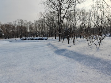 冬日雪景公园风光