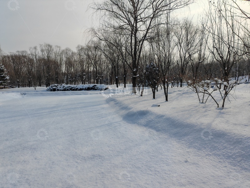 高清大图下载【趣麦麦图】-冬日雪景公园风光