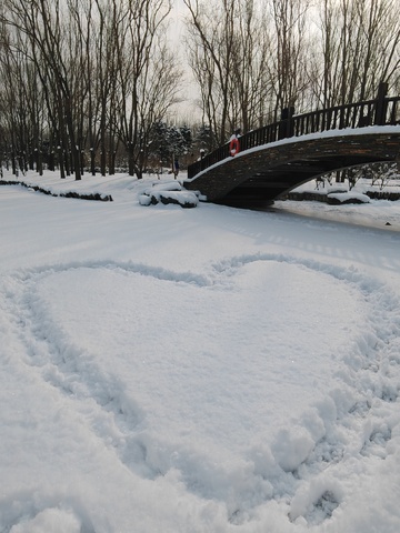冬日雪景木桥风光摄影图片