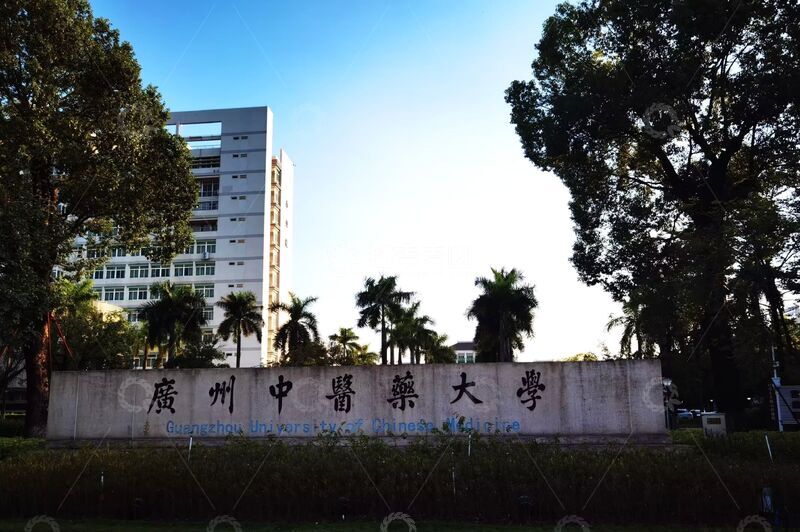 高清大图下载【趣麦麦图】广州中医药大学校园风光