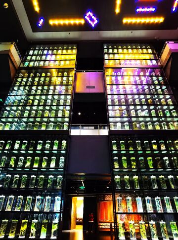 科技感商品展示架