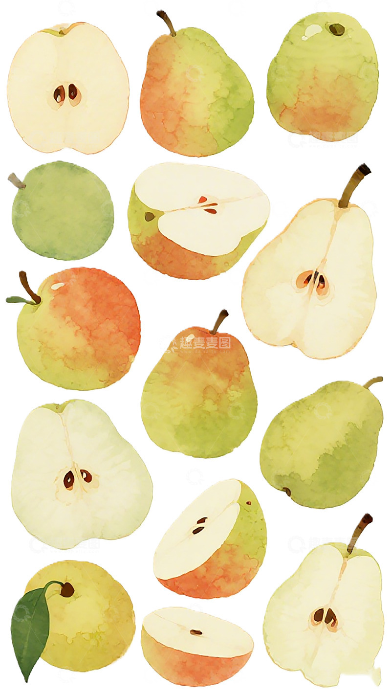 高清大图下载【趣麦麦图】水彩梨子水果插画设计素材