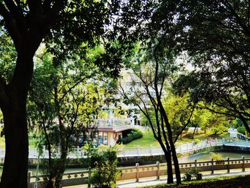 绿意盎然公园美景