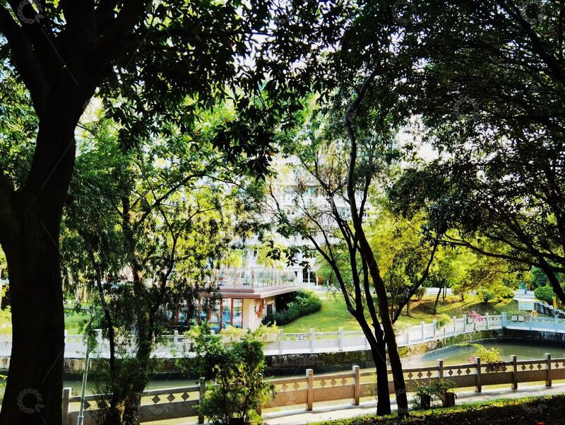 高清大图下载【趣麦麦图】绿意盎然公园美景