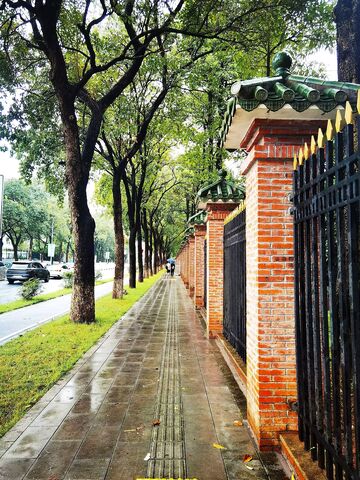 雨后街景红砖墙