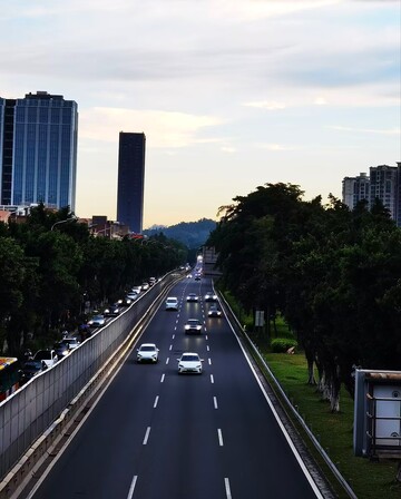 城市高速路绿树成荫