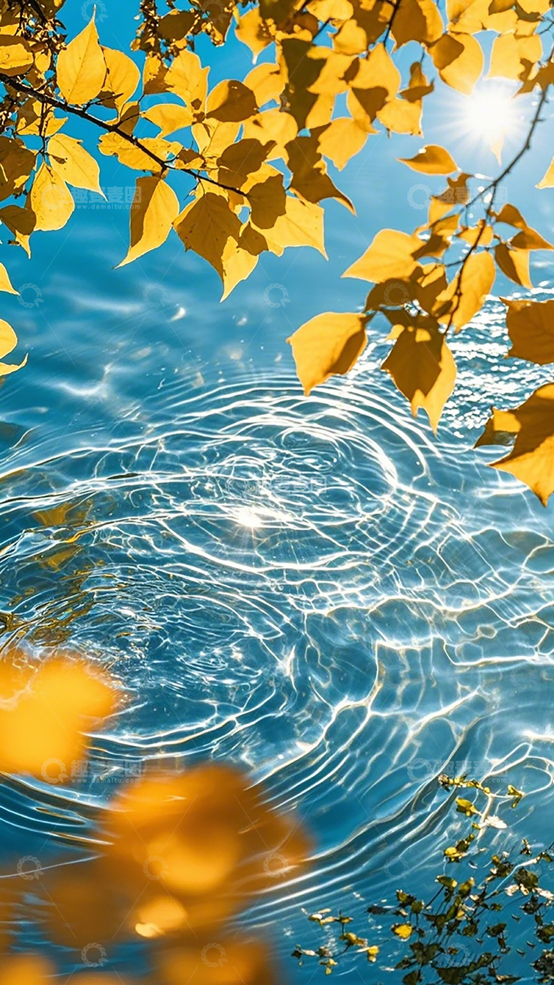 高清大图下载【趣麦麦图】秋日阳光水面美景