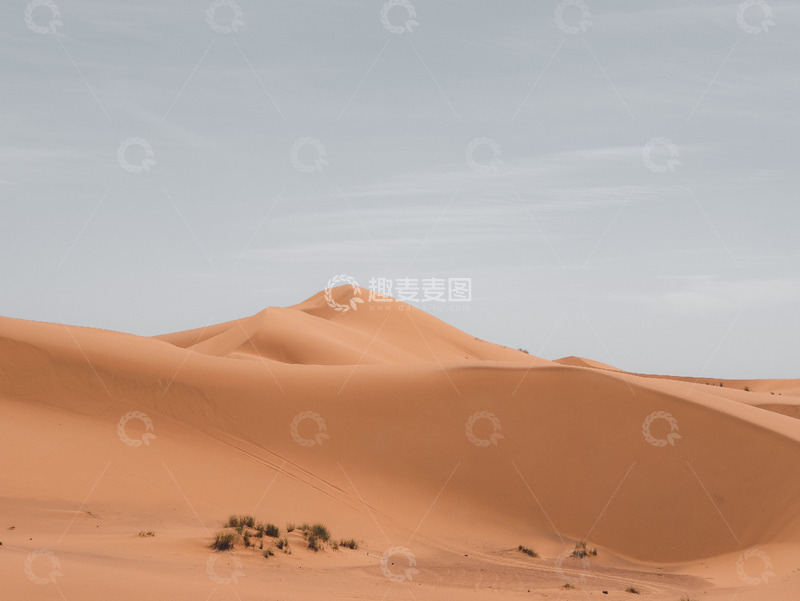 高清大图下载【趣麦麦图】金色沙丘下的宁静荒漠