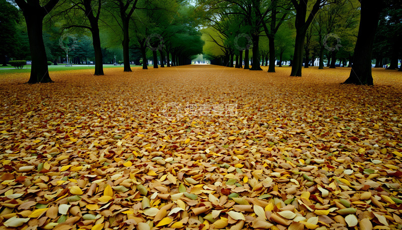 高清大图下载【趣麦麦图】堆积的落叶绿色