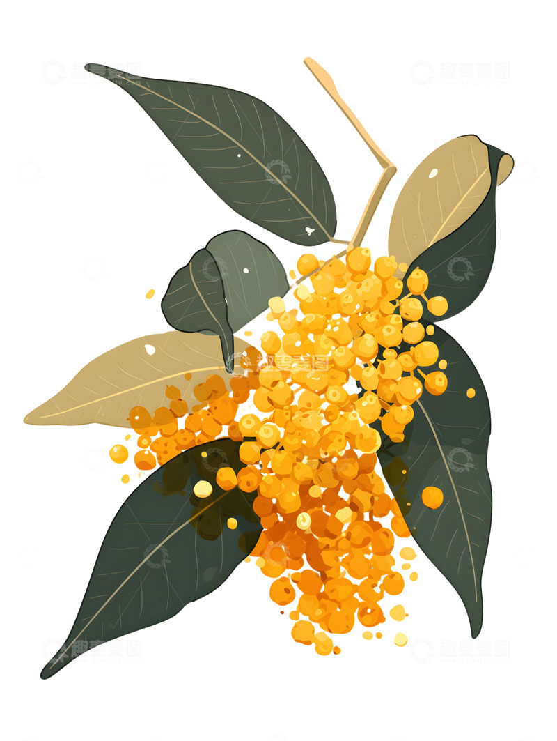 高清大图下载【趣麦麦图】桂花卡通香味