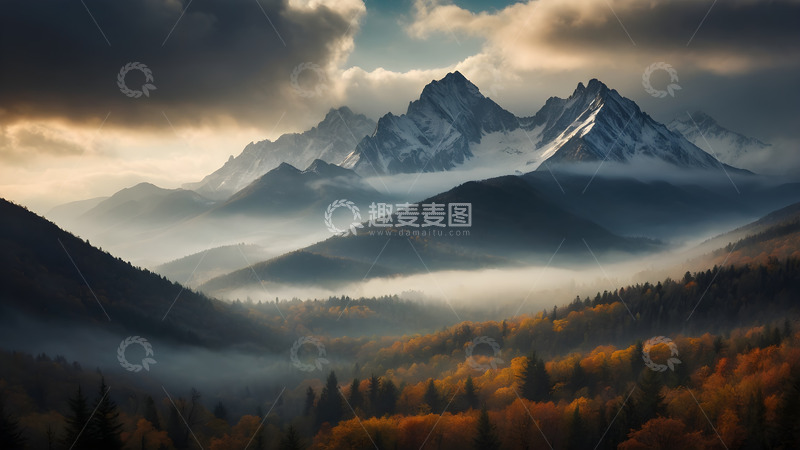 高清大图下载【趣麦麦图】斑驳的秋季森林