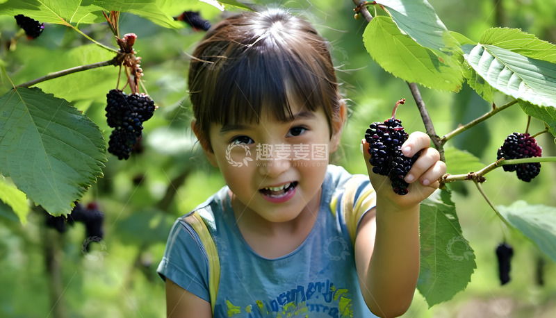 高清大图下载【趣麦麦图】采收的胜利果实