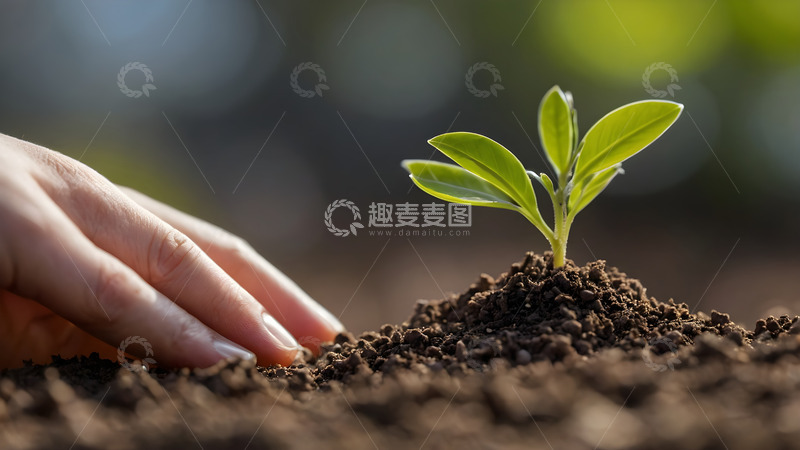 高清大图下载【趣麦麦图】育种的希望禾苗