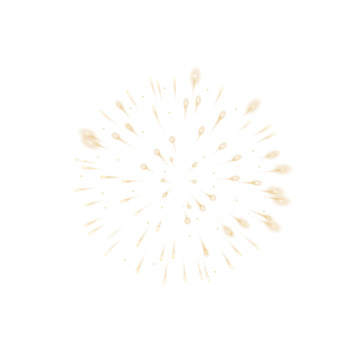 夜空中的节日烟花