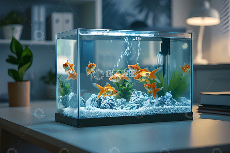 高清大图下载【趣麦麦图】放在桌面的鱼缸