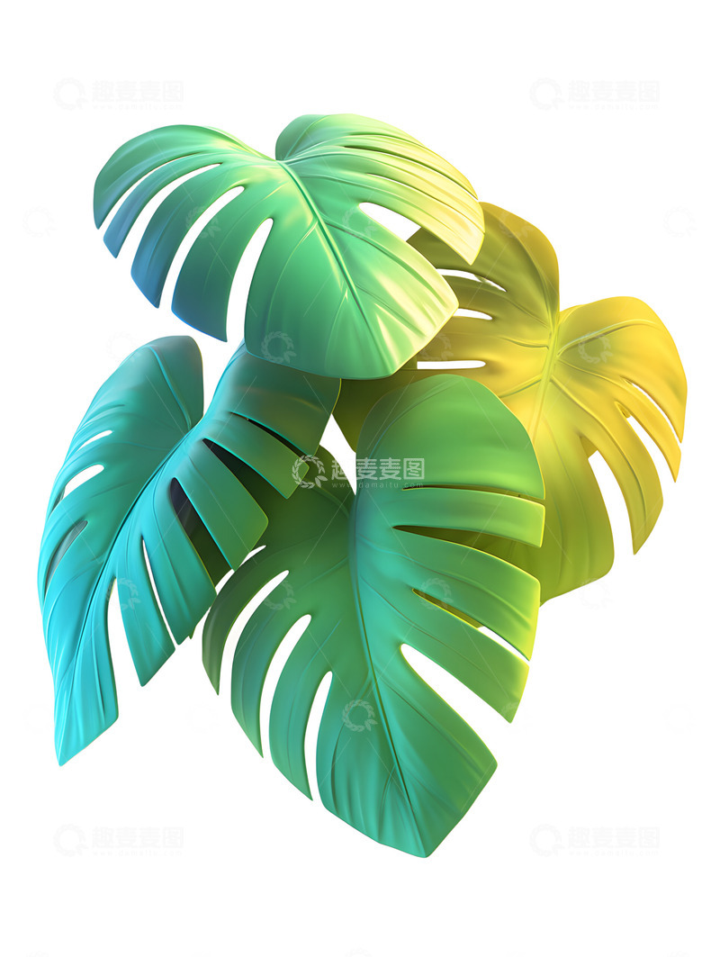 高清大图下载【趣麦麦图】卡通龟背竹植物3D