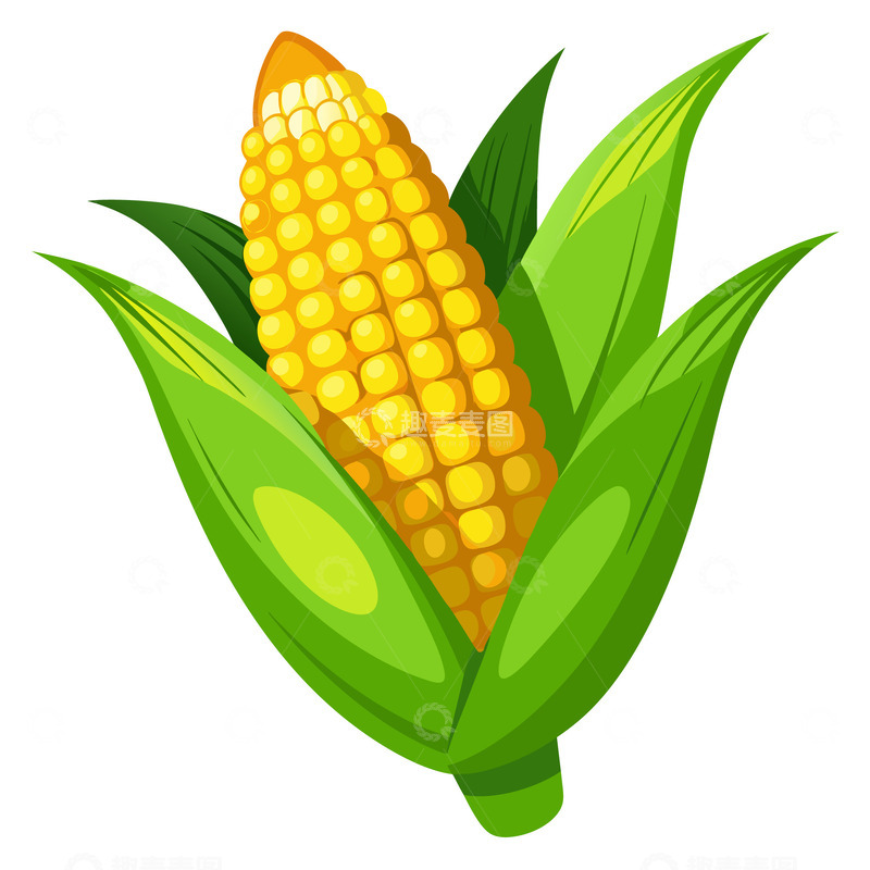 源文件下载【趣麦麦图】金黄玉米穗与绿叶