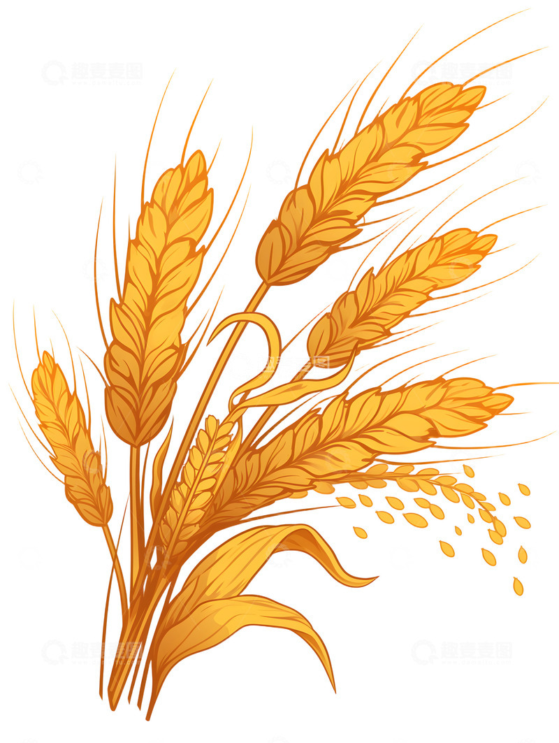 高清大图下载【趣麦麦图】卡通麦子大麦粮食