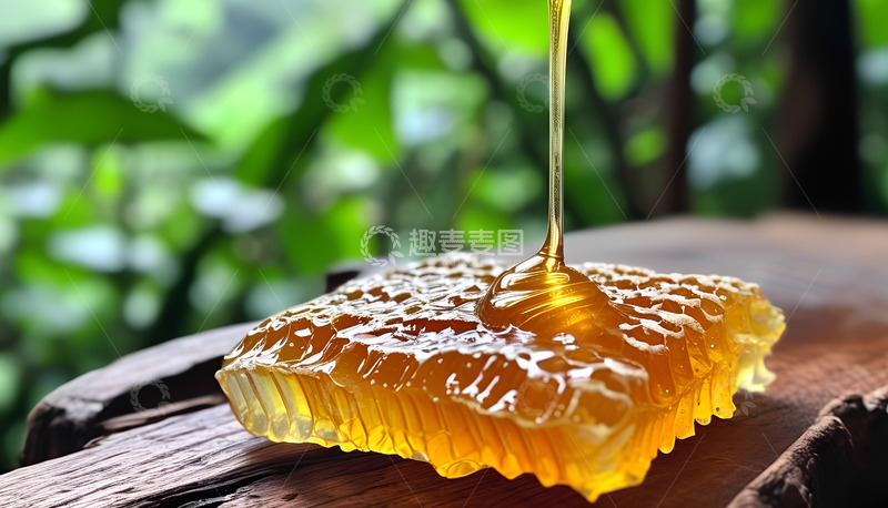 高清大图下载【趣麦麦图】蜂蜜树林大树