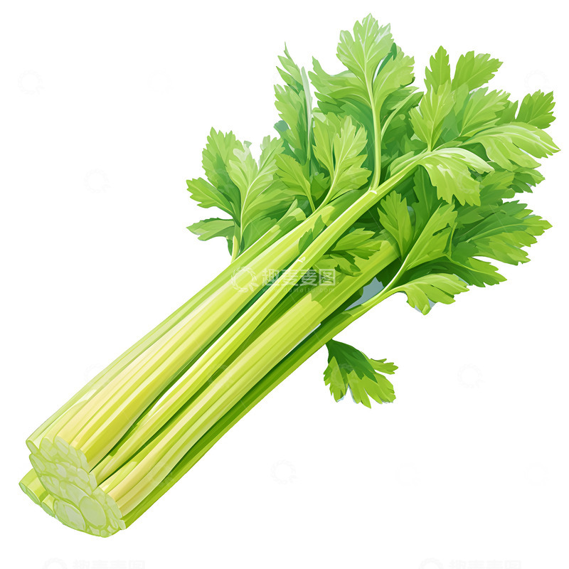 高清大图下载【趣麦麦图】卡通简约新鲜的一捆芹菜
