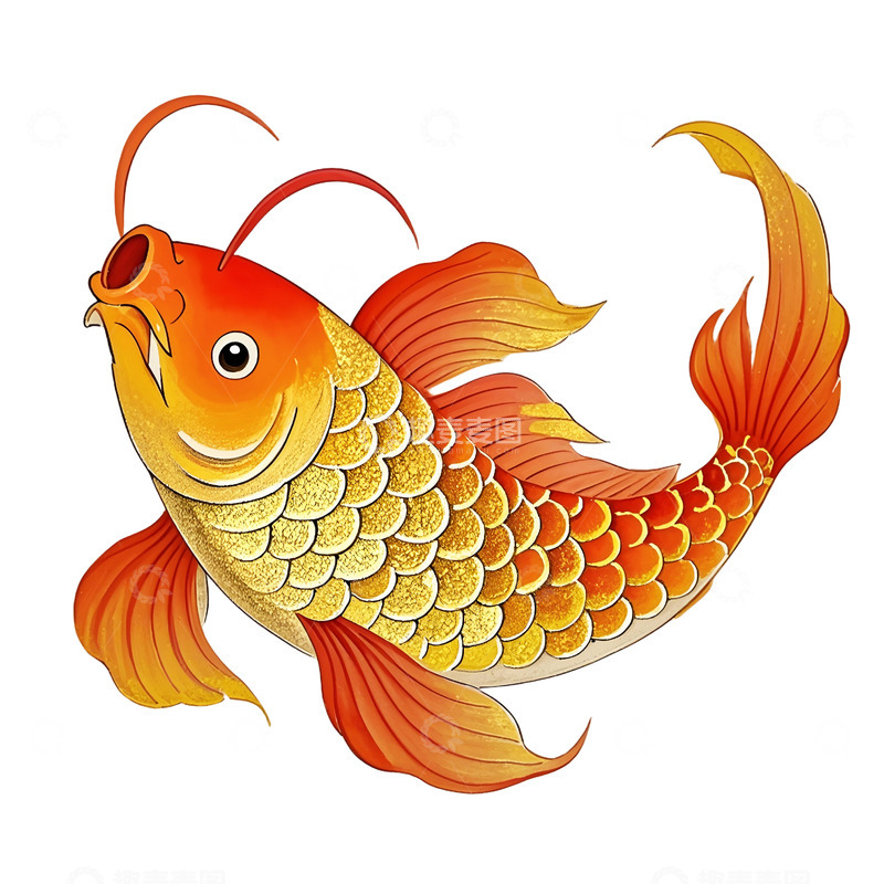 高清大图下载【趣麦麦图】春节金箔锦鲤吉祥