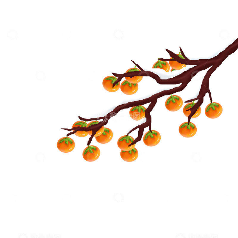 源文件下载【趣麦麦图】霜降寒冷柿子手绘图