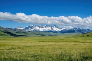 大草原白云远山美景