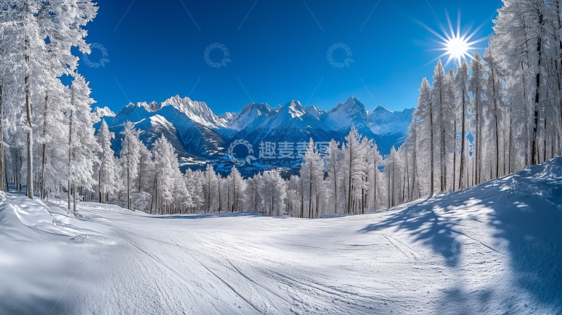 高清大图下载【趣麦麦图】冬天林场雪景摄影