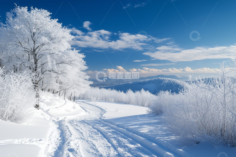 高清大图下载【趣麦麦图】雾凇霜花树风景摄影