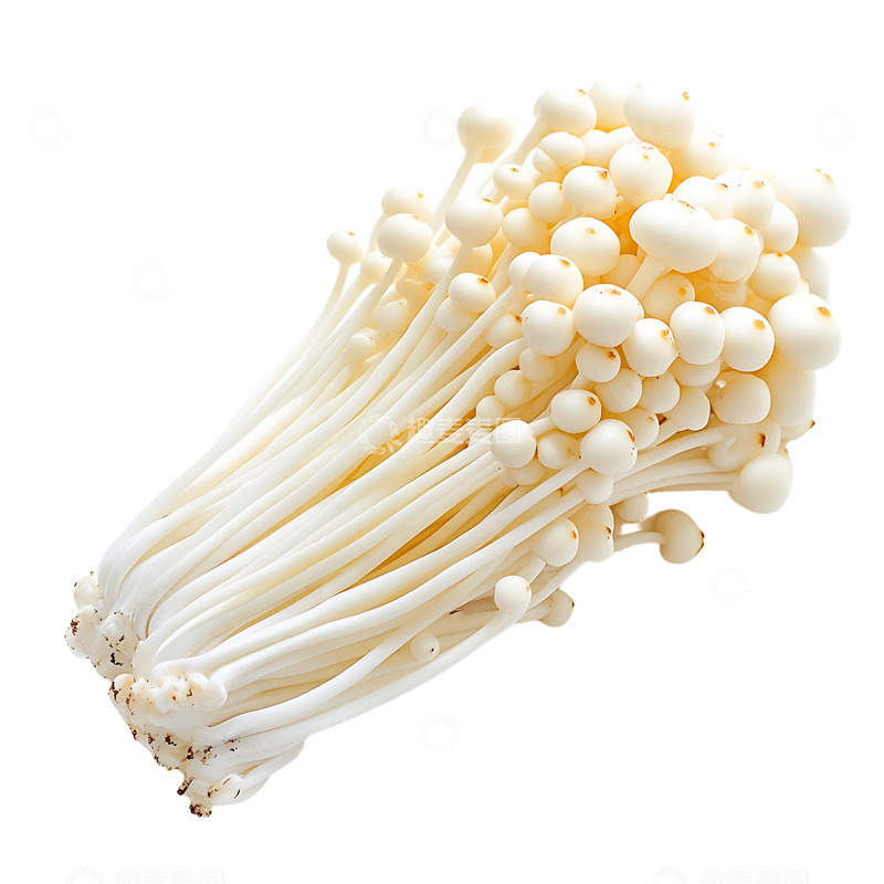 高清大图下载【趣麦麦图】金针菇菌类美味