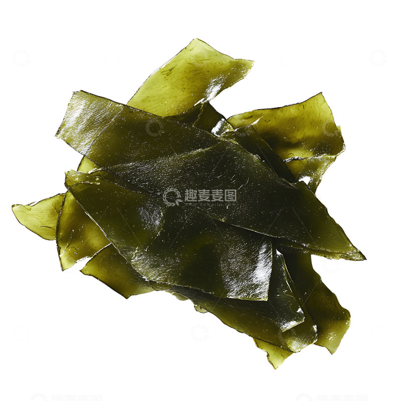 高清大图下载【趣麦麦图】海洋藻类海带