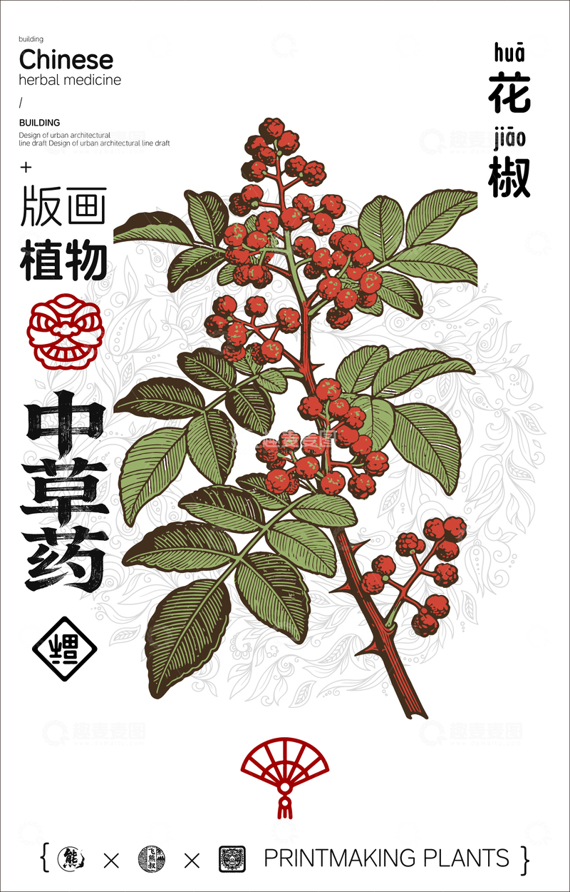 源文件下载【趣麦麦图】花椒中草药植物线稿版画线稿海报