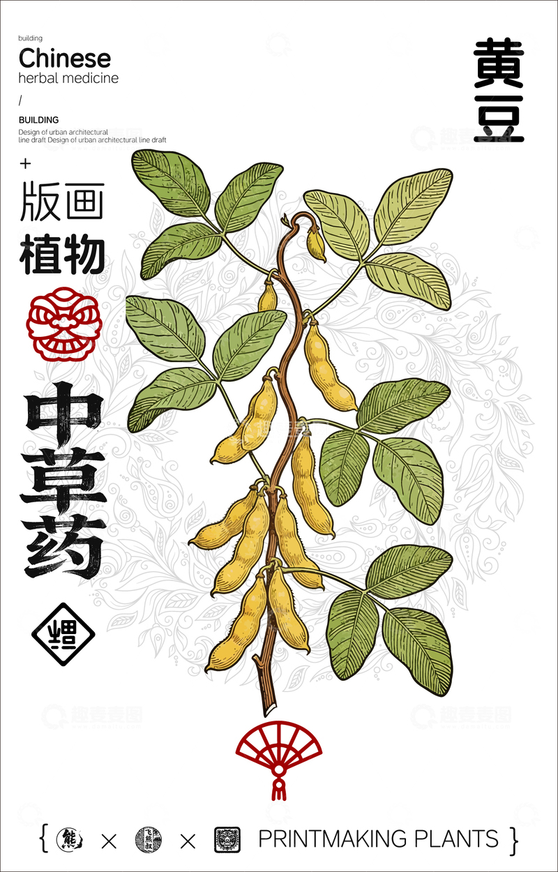 源文件下载【趣麦麦图】黄豆中草药植物线稿版画线稿海报