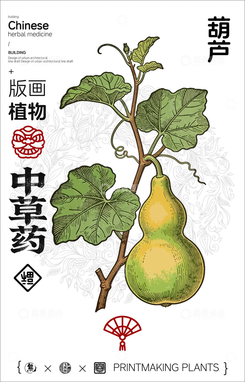 源文件下载【趣麦麦图】葫芦中草药植物线稿版画线稿海报