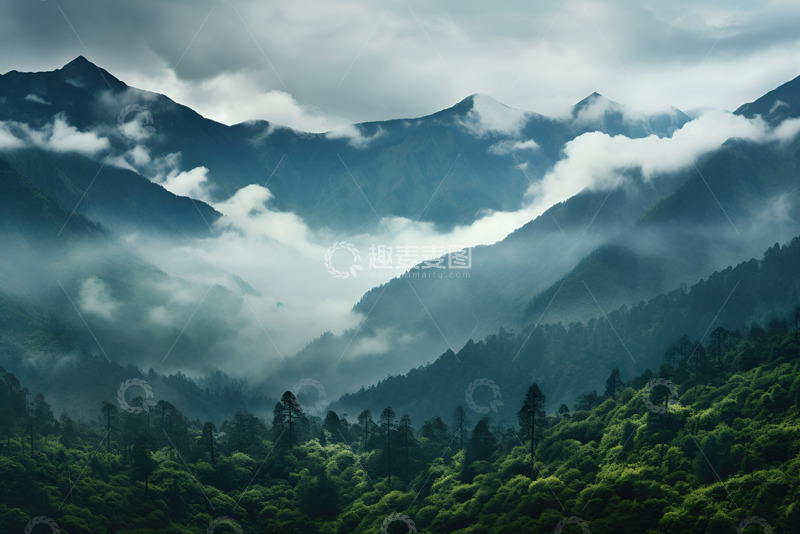 高清大图下载【趣麦麦图】高山云雾森林