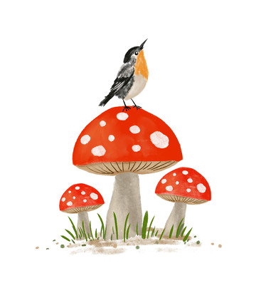 春天小草地蘑菇小鸟手绘卡通插画