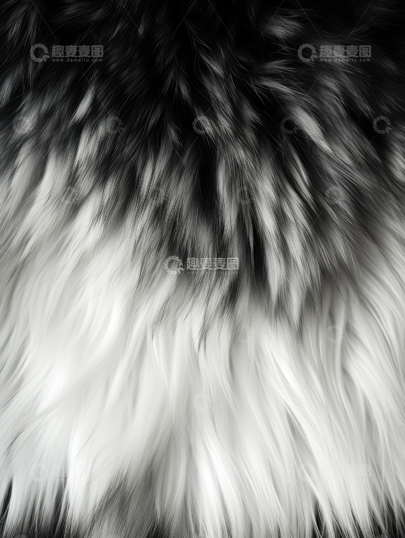 高清大图下载【趣麦麦图】黑白色毛发背景