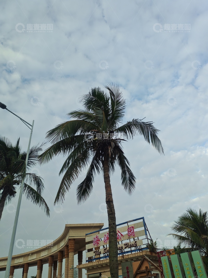 高清大图下载【趣麦麦图】椰树公园景观