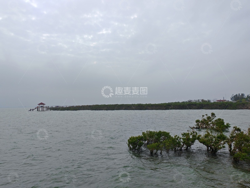 高清大图下载【趣麦麦图】阴雨湿地红树林景色