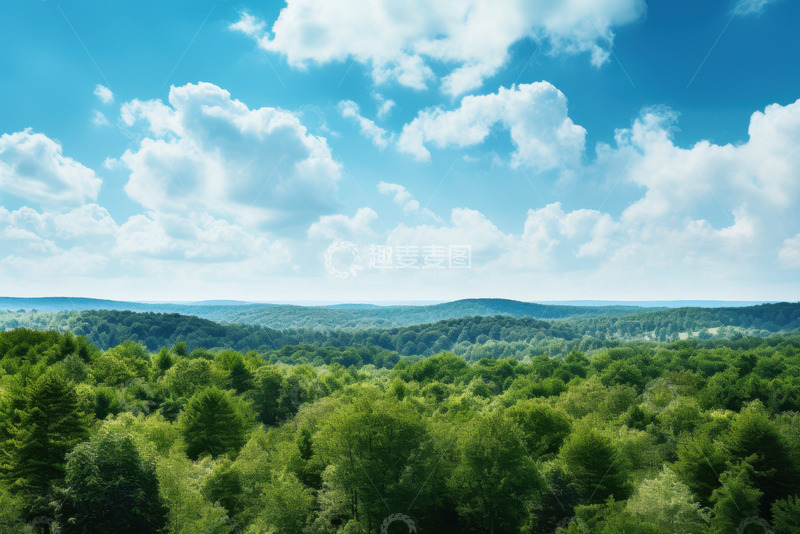 高清大图下载【趣麦麦图】连绵起伏的森林
